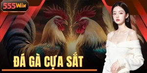 Đá Gà Cựa Sắt | Mãn Nhãn 100+ Trận Chiến Thắng Lớn 1:1